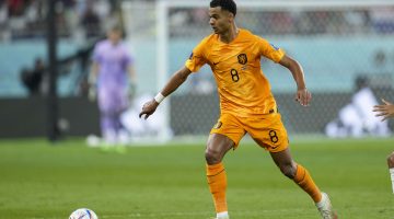 Cody Gakpo, la sensación de Qatar 2022