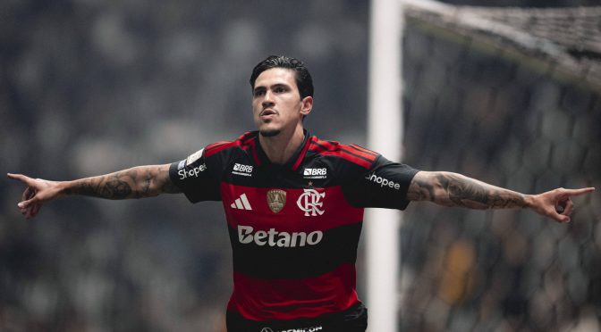 Pedro – números e estatísticas