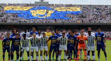 Pumas: historial completo en la Liga MX