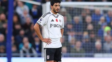 Raúl Jiménez – Goles, asistencias y estadísticas completas