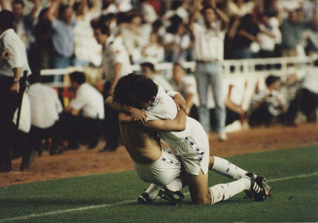 Cuantos goles hizo Iván Zamorano en Real Madrid