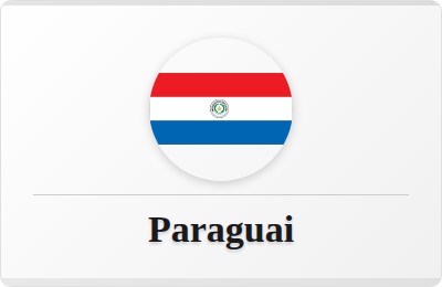 Paraguai nas Copas do Mundo: estatísticas completas
